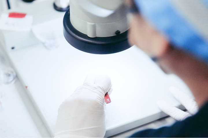 品質体制とサポート力