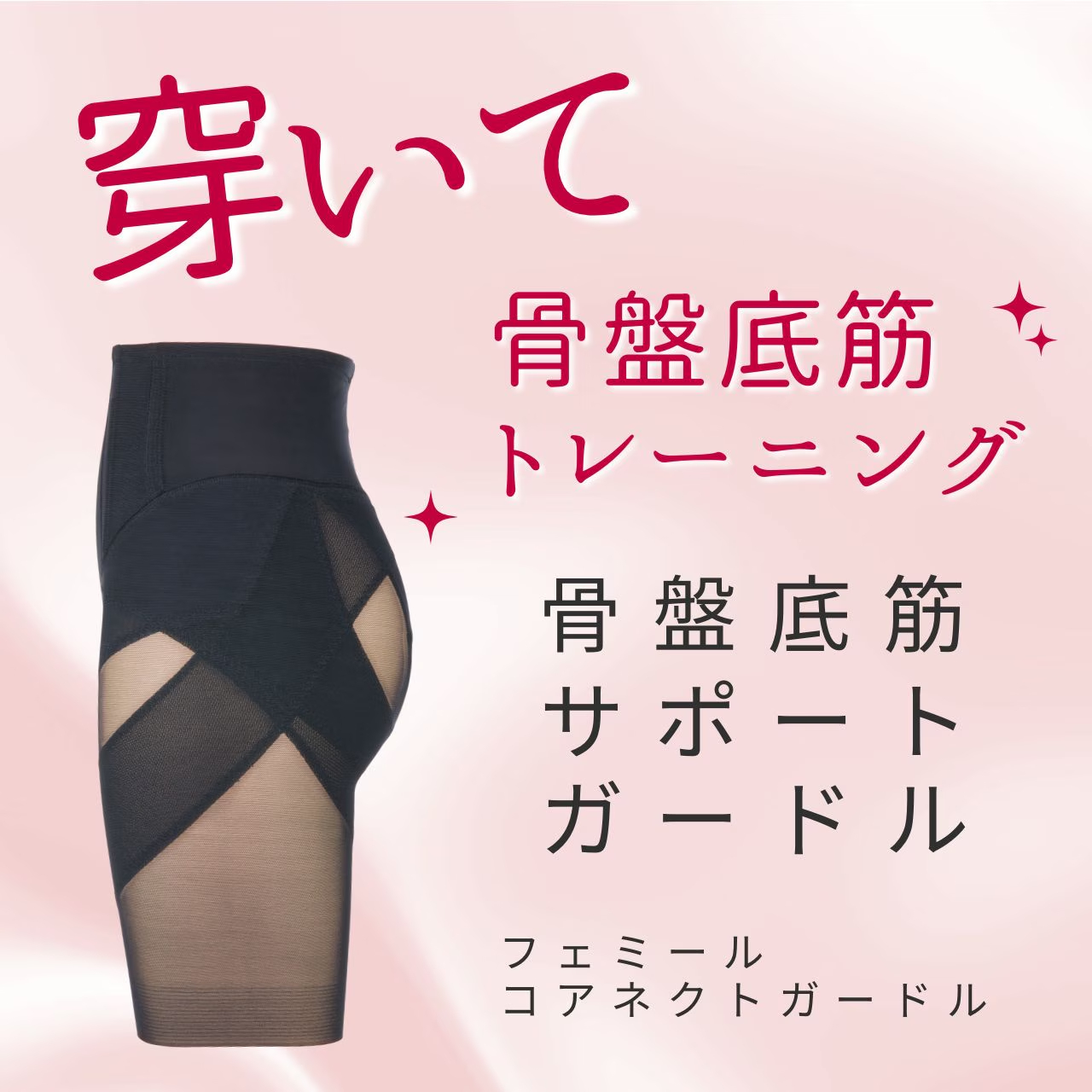 フェミール　コアネクスト　ガードル